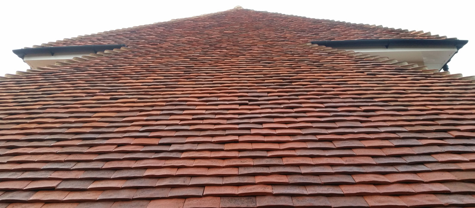 Roof Cleaning