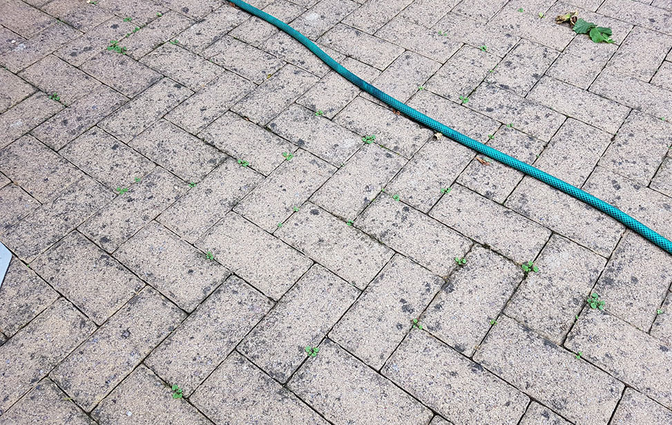 Removing Black Spots from Patios