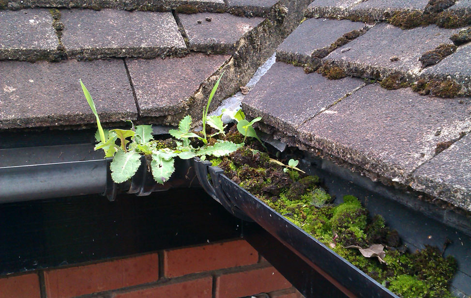 Gutter Clearing