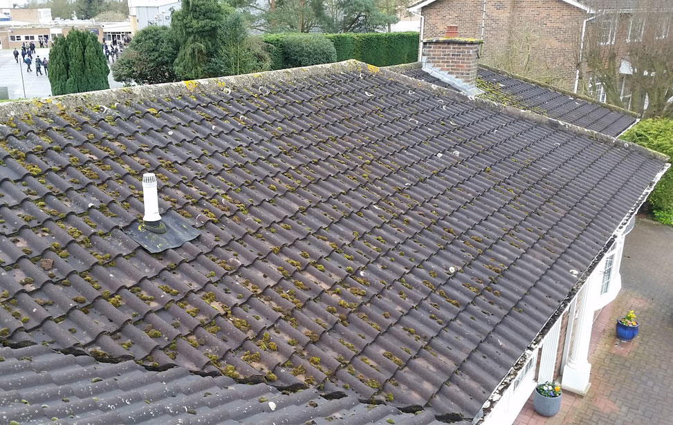 Roof Cleaning Essex Before