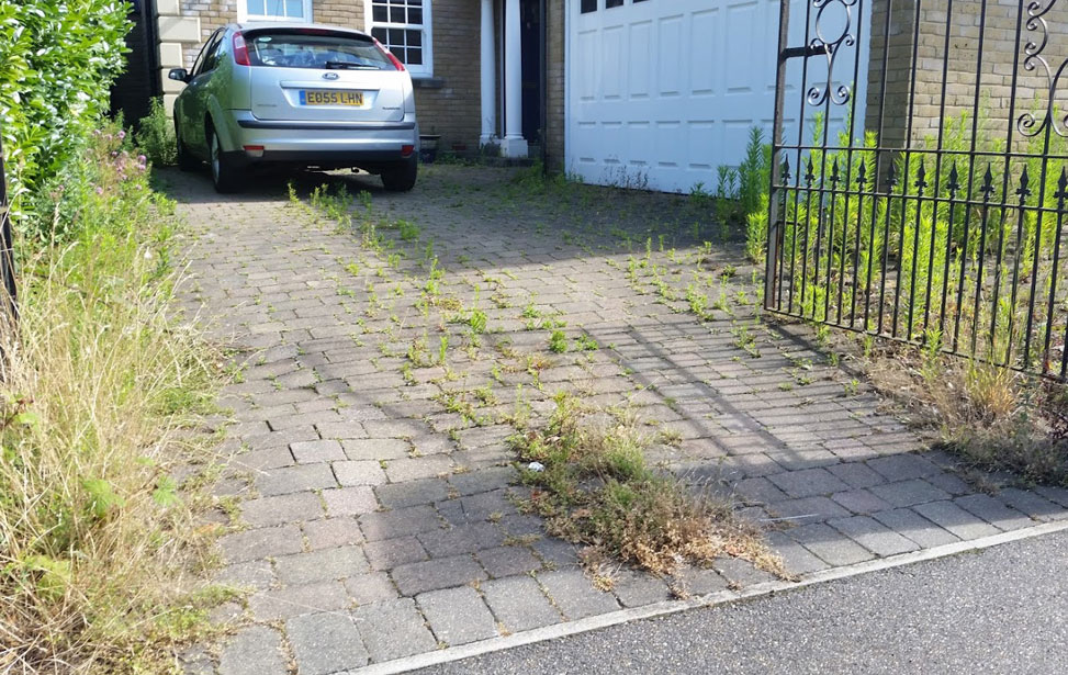 Paving Cleaning Essex Before